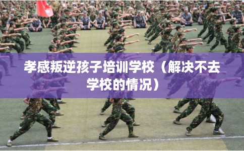 孝感叛逆孩子培训学校(解决不去学校的情况) 孝感叛逆孩子培训学校(解决不去学校的情况)