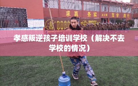 孝感叛逆孩子培训学校(解决不去学校的情况) 孝感叛逆孩子培训学校(解决不去学校的情况)