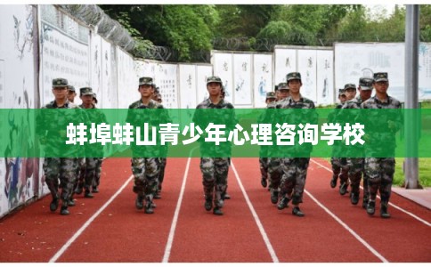 蚌埠蚌山青少年心理咨询学校