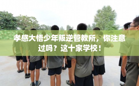 孝感大悟少年叛逆管教所,你注意过吗?这十家学校! 孝感大悟少年叛逆管教所,你注意过吗?这十家学校!