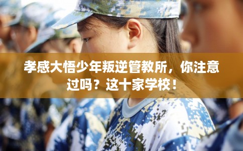 孝感大悟少年叛逆管教所，你注意过吗？这十家学校！