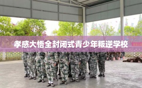 孝感大悟全封闭式青少年叛逆学校 孝感大悟全封闭式青少年叛逆学校