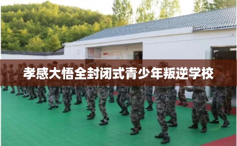孝感大悟全封闭式青少年叛逆学校 孝感大悟全封闭式青少年叛逆学校