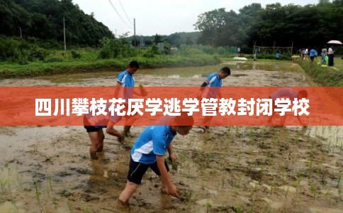 四川攀枝花厌学逃学管教封闭学校