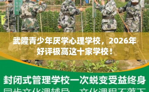 武隆青少年厌学心理学校，2026年好评极高这十家学校！