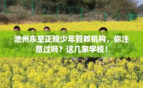 池州东至正规少年管教机构,你注意过吗?这几家学校! 池州东至正规少年管教机构,你注意过吗?这几家学校!