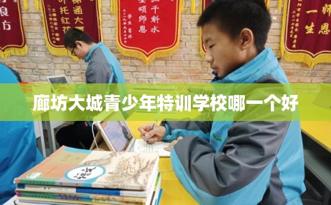 廊坊大城青少年特训学校哪一个好 廊坊大城青少年特训学校哪一个好
