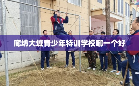 廊坊大城青少年特训学校哪一个好