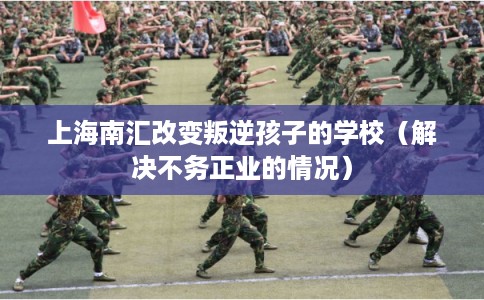 上海南汇改变叛逆孩子的学校（解决不务正业的情况）
