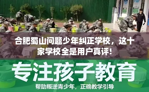 合肥蜀山问题少年纠正学校，这十家学校全是用户真评!