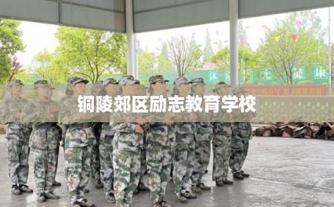 铜陵郊区励志教育学校