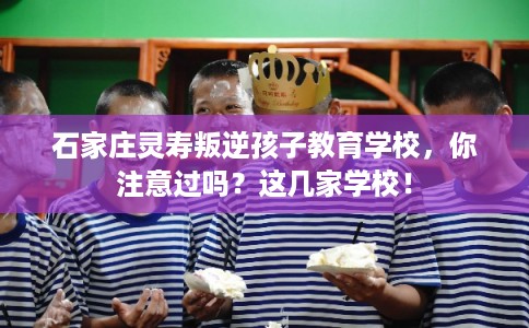 石家庄灵寿叛逆孩子教育学校,你注意过吗?这几家学校! 石家庄灵寿叛逆孩子教育学校,你注意过吗?这几家学校!