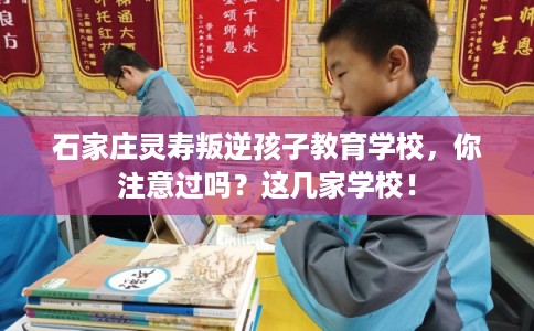石家庄灵寿叛逆孩子教育学校,你注意过吗?这几家学校! 石家庄灵寿叛逆孩子教育学校,你注意过吗?这几家学校!