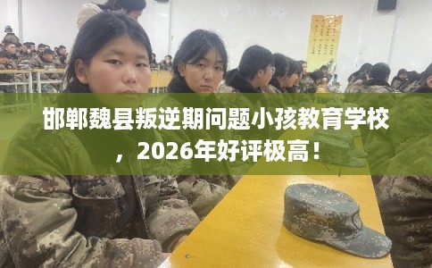 邯郸魏县叛逆期问题小孩教育学校,2026年好评极高! 邯郸魏县叛逆期问题小孩教育学校,2026年好评极高!