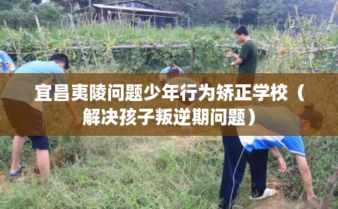 宜昌夷陵问题少年行为矫正学校（解决孩子叛逆期问题）