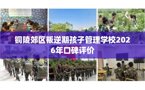 铜陵郊区叛逆期孩子管理学校2026年口碑评价