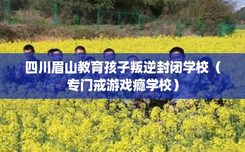 四川眉山教育孩子叛逆封闭学校（专门戒游戏瘾学校）
