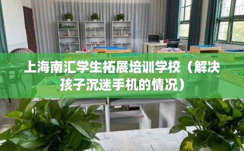 上海南汇学生拓展培训学校（解决孩子沉迷手机的情况）