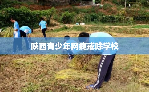 陕西青少年网瘾戒除学校 陕西青少年网瘾戒除学校