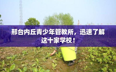 邢台内丘青少年管教所，迅速了解这十家学校！