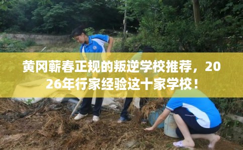黄冈蕲春正规的叛逆学校推荐,2026年行家经验这十家学校! 黄冈蕲春正规的叛逆学校推荐,2026年行家经验这十家学校!