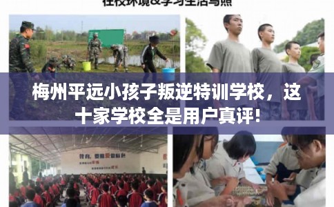 梅州平远小孩子叛逆特训学校，这十家学校全是用户真评!