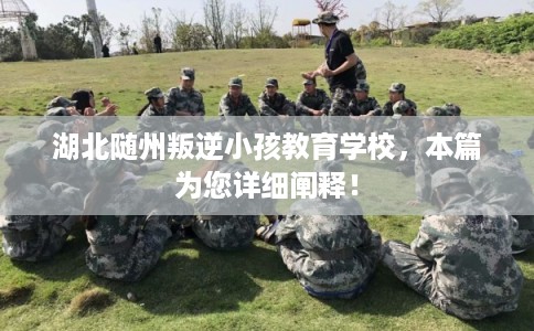 湖北随州叛逆小孩教育学校，本篇为您详细阐释！