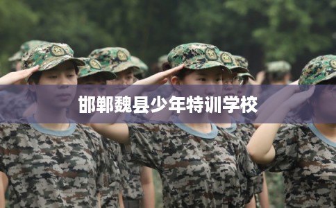 邯郸魏县少年特训学校