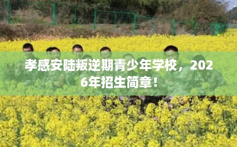 孝感安陆叛逆期青少年学校，2026年招生简章！