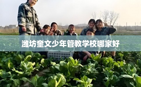 潍坊奎文少年管教学校哪家好