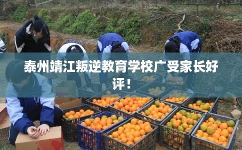 泰州靖江叛逆教育学校广受家长好评! 泰州靖江叛逆教育学校广受家长好评!