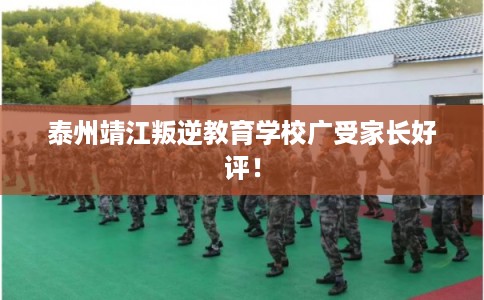 泰州靖江叛逆教育学校广受家长好评! 泰州靖江叛逆教育学校广受家长好评!