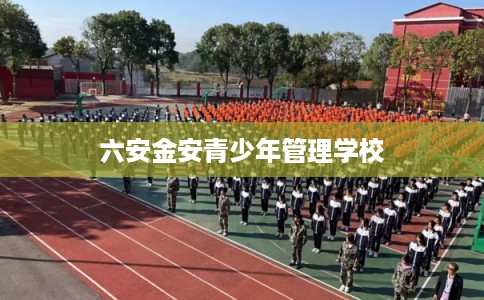 六安金安青少年管理学校