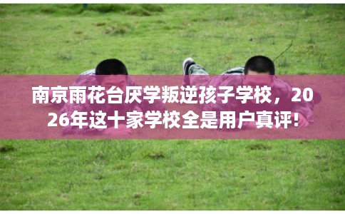 南京雨花台厌学叛逆孩子学校，2026年这十家学校全是用户真评!