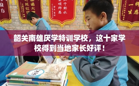 韶关南雄厌学特训学校，这十家学校得到当地家长好评！