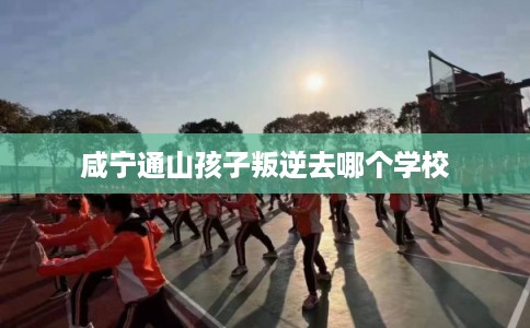 咸宁通山孩子叛逆去哪个学校 咸宁通山孩子叛逆去哪个学校
