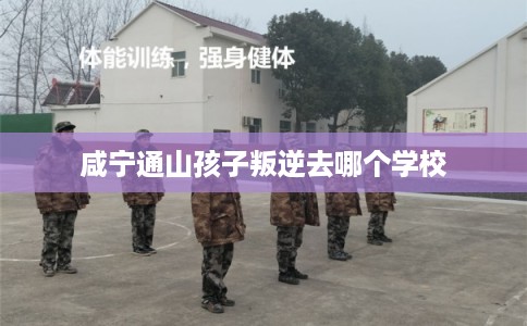 咸宁通山孩子叛逆去哪个学校