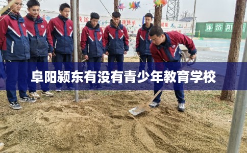阜阳颍东有没有青少年教育学校