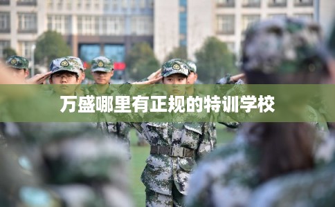 万盛哪里有正规的特训学校