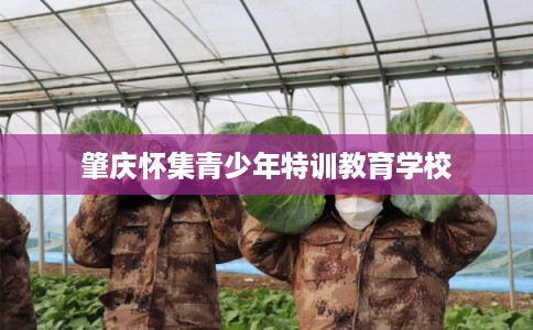 肇庆怀集青少年特训教育学校 肇庆怀集青少年特训教育学校