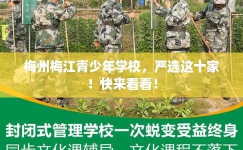 梅州梅江青少年学校，严选这十家！快来看看！