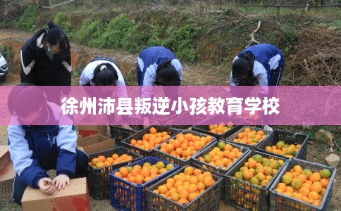 徐州沛县叛逆小孩教育学校