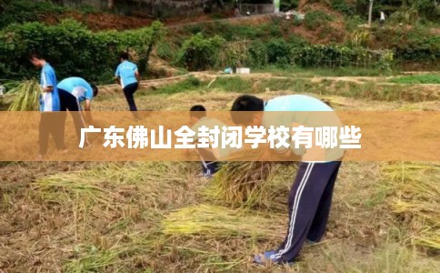 广东佛山全封闭学校有哪些