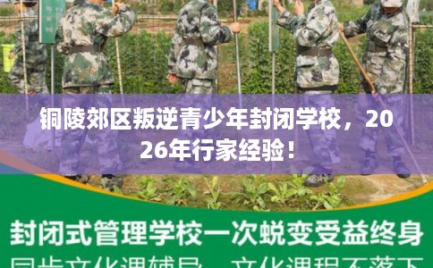 铜陵郊区叛逆青少年封闭学校，2026年行家经验！