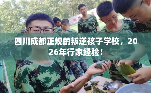 四川成都正规的叛逆孩子学校，2026年行家经验！
