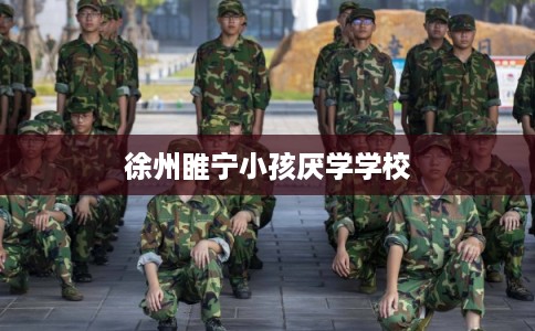 徐州睢宁小孩厌学学校