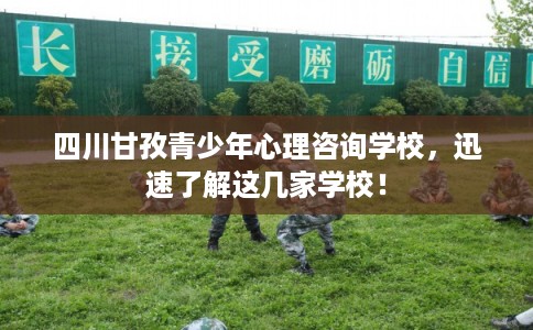 四川甘孜青少年心理咨询学校，迅速了解这几家学校！
