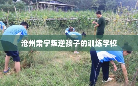 沧州肃宁叛逆孩子的训练学校