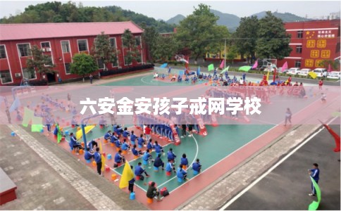 六安金安孩子戒网学校 六安金安孩子戒网学校