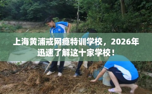上海黄浦戒网瘾特训学校，2026年迅速了解这十家学校！
